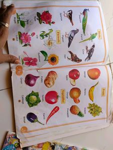 Rhymes And Story Book