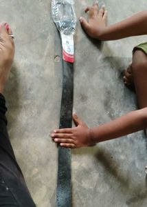 Leather Belt Bundle 4 Pic