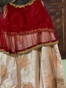 Red &amp; Gold Embellished Blouse And Golden Skirt