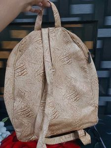 Picnic Bagpack