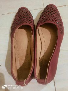 Elegant Maroon Bellies