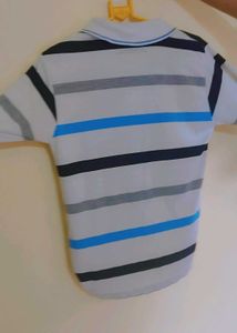 Hollister Striped Polo Shirt