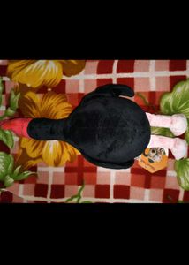 Feathers McGraw officially licensed plushie toy