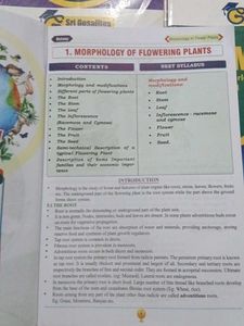 NEET Study Material 1st Year