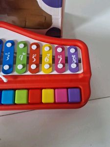 Big Xylophone