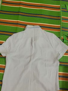 Lavender Shirt At Best Price