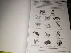Biology Books - Allen