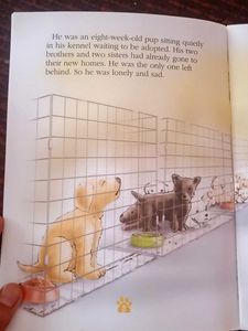 Children English Storybooks