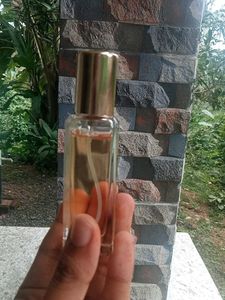 PDM DELINA EXCLUSIF INSPIRED PERFUME