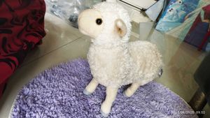 Real Sheep Toy