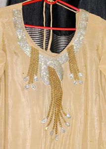 Elegant Pakistani Salwar Suit(Offer Price)
