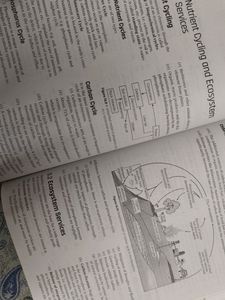 12th Biology CBSE PYQ Book