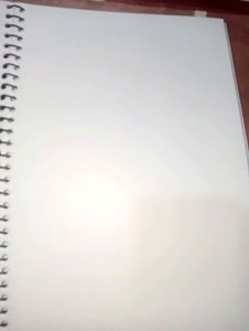 Citizen Spiral Plain Page Notebook + A4 Size Sheet