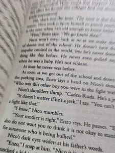 Freida McFadden Books Bundle10