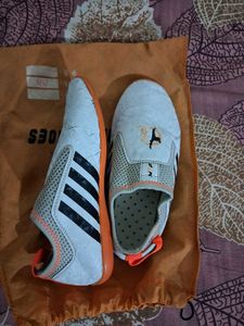 Taekwondo Met Shoes