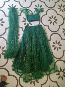 Green Embellished Lehenga Choli