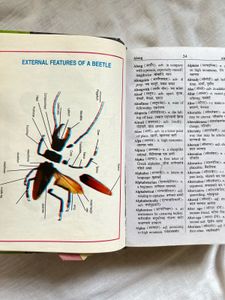 New Picture Dictionary For Children
