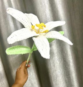 Crochet Dolls