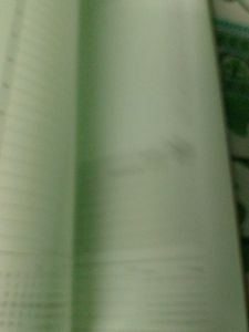 Left Over Last Year Diaries