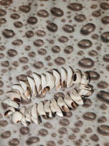 White Beauty Seashell Bracelet