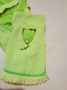 Light Green Embellished Saree