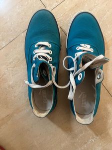 Price Reduced - Sneakers In Good Condition