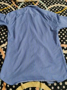 Blue Striped Shirt