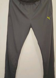 Grey Lower