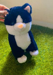 Cat Soft Toy