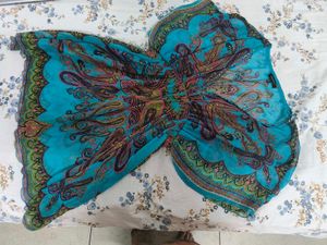 Cinched Waist Sheer Top