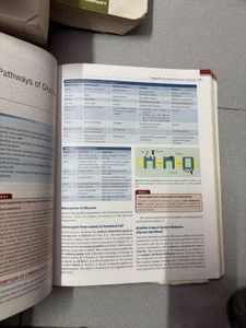 Biochemistry Book Vasudevan