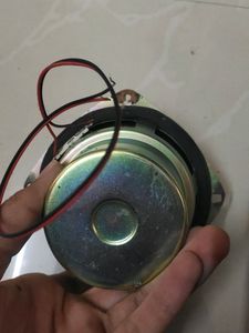 Working Speaker Big .