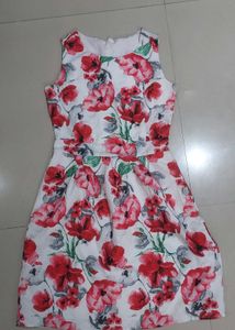 Floral Print Dress