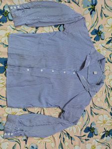 Striped Women Blue Shirt