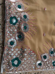Elegant Embellished Saree
