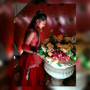 Lehnga Choli For Girls