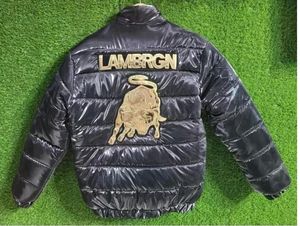 Silk Man Jacket 80% Off Today Offer Only