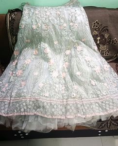 New Lehenga And Crop Top