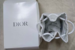 DIOR Pouch