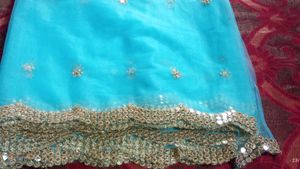 Net Sarees &amp; Blaus