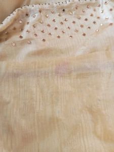 Embellished Golden Saree