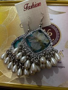 resin fancy earrings