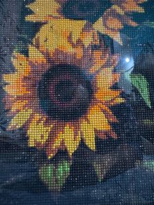 Diamond Painting Art Work (Hand Crafted)