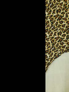LEOPARD PRINT SHIRT
