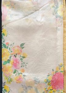 Organza Saree