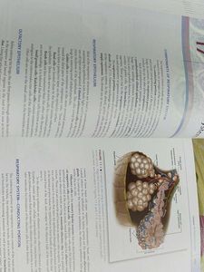 diFiore&#39;s Atlas of Histology