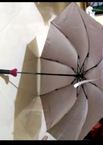 Bottle Umbrella Maroon Colour