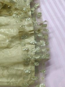 It&#39;s A Very Pretty Golden Net Flaired Bottom .