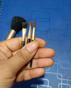 Makeup Brush