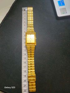 Men Titan Watch